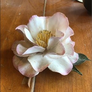 Meet your Posher, Dawn